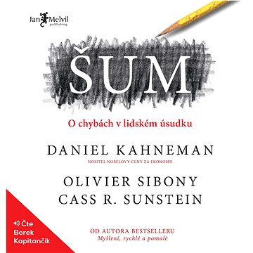 

Šum: O chybách v lidském úsudku