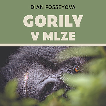 

Gorily v mlze