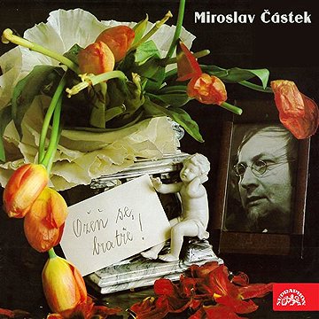 

Ožeň se, bratře