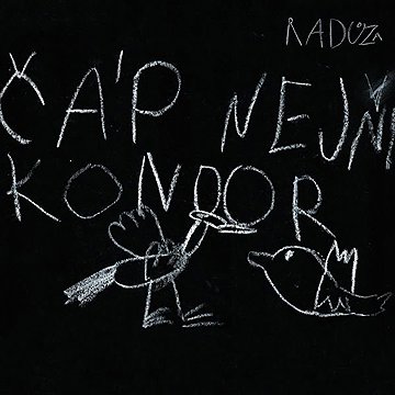 

Čáp nejni kondor