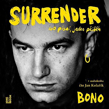 

Surrender: 40 písní, jeden příběh