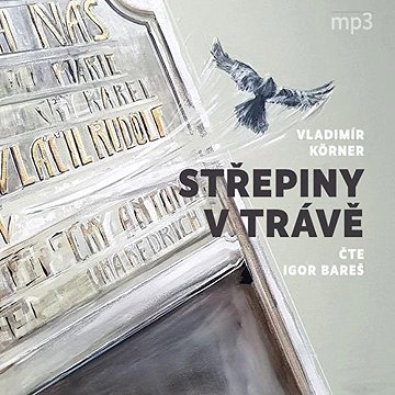 

Střepiny v trávě