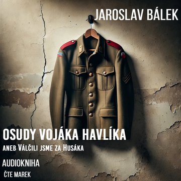 

Osudy vojáka Havlíka aneb Válčili jsme za Husáka