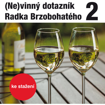 

(Ne)vinný dotazník Radka Brzobohatého 2.