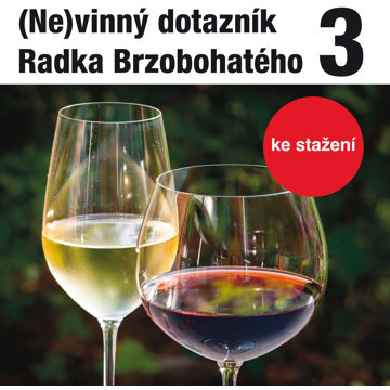 

(Ne)vinný dotazník Radka Brzobohatého 3.
