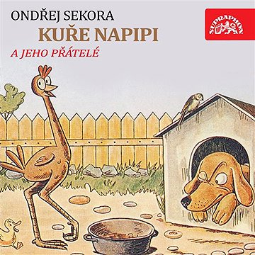 

Kuře Napipi