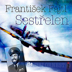 

Sestřelen
