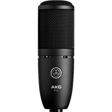 

AKG Perception 120