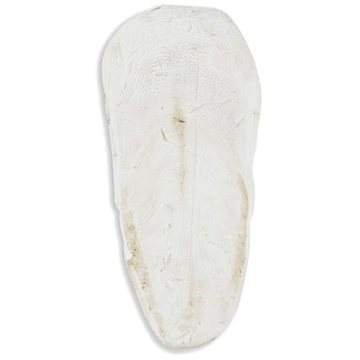 

Akinu Sépiová kost volně 1 kg 15-20 cm