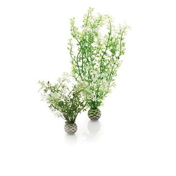 

biOrb Aquatic Zima flower set 2