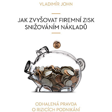 

Jak zvyšovat firemní zisk snižováním nákladů