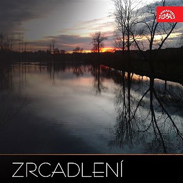 

Zrcadlení