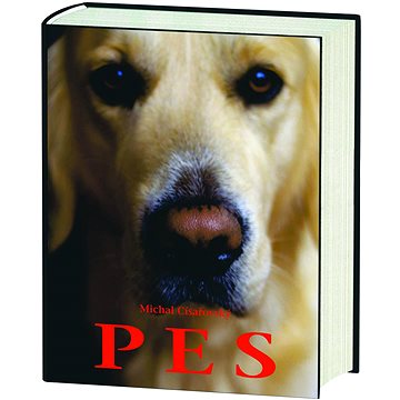 

PES – Michal Císařovský