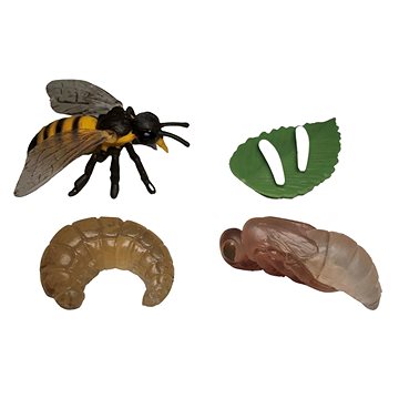 

Animal Life Životní cyklus Včely