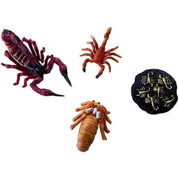 

Animal Life Životní cyklus Šťíra