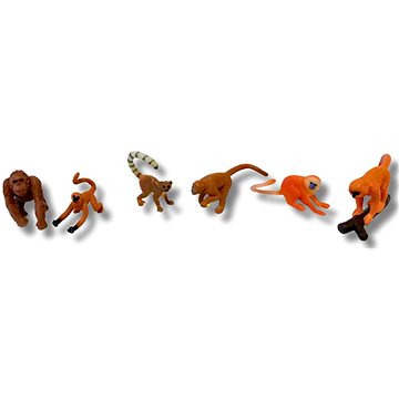 

Animal Life Primáti a opice 1