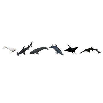 

Animal Life Zvířata moří a oceánů