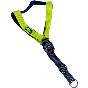 

ANNAM Reflexní postroj pro psy, obvod 60-80 cm, zelený