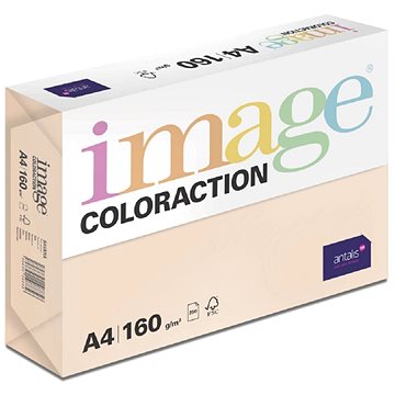 

Antalis Barevný papír Savana / meruňkový A4 / 160 g / 250 ks