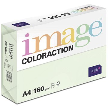 

Antalis Barevný papír Jungle / pastelově světle zelený A4 / 160 g / 250 ks