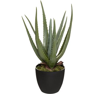 

Atmosphera Umělá aloe vera, real touch, 44 cm