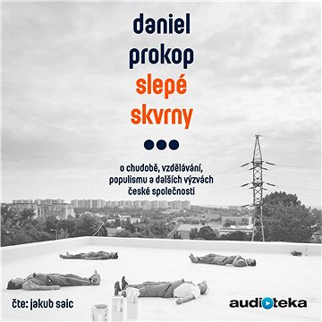 

Slepé skvrny: O chudobě, vzdělávání, populismu a dalších výzvách české společnosti