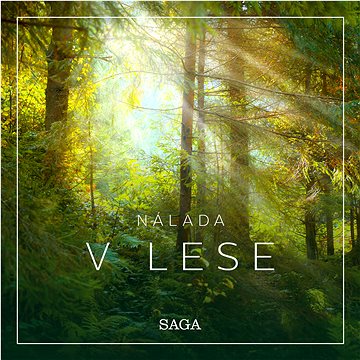 

Nálada – V lese