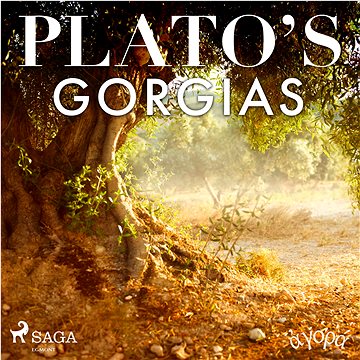 

Plato’s Gorgias
