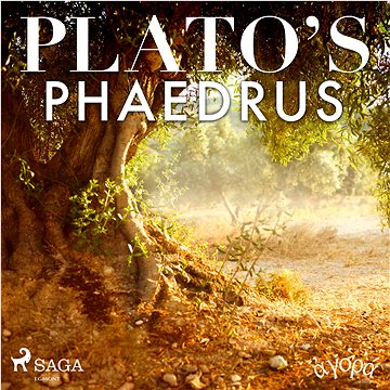 

Plato’s Phaedrus