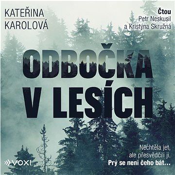 

Odbočka v lesích