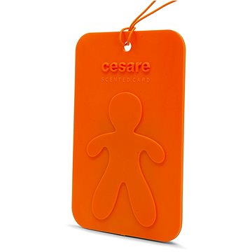 

Mr&Mrs Fragrance Cesare Scented Cards Energy