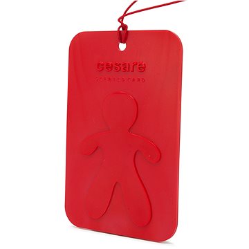 

Mr&Mrs Fragrance Cesare Scented Cards Peppermint