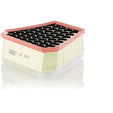 

MANN-FILTER vzduchový filtr C 26 065