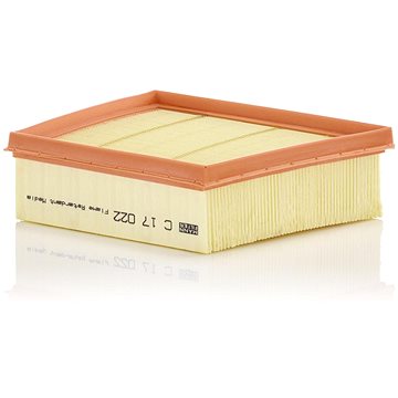 

MANN-FILTER vzduchový filtr C 17 022