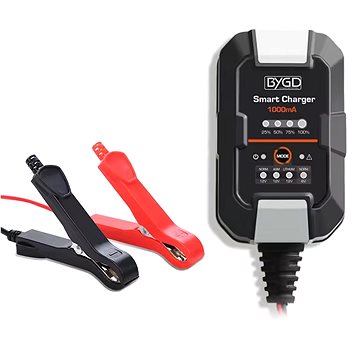 

BYGD F1000