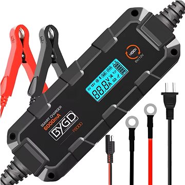 

BYGD F6000