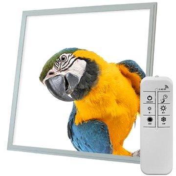 

Ortus Stmívatelný LED panel s motivem papoušek, 60 × 60 cm, CCT, s dálkovým ovládáním