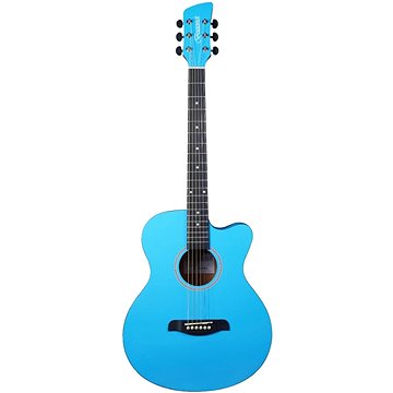 

Brunswick GA BF100SBL