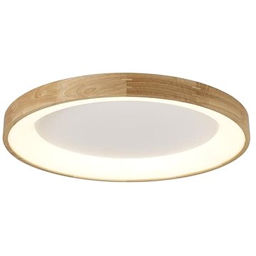 

Azzardo AZ2698 - LED Stropní svítidlo SILVAM 1xLED/50W/230V
