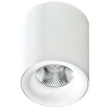 

Azzardo AZ2845 - LED Stropní svítidlo MANe 1xLED/10W/230V