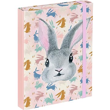 

BAAGL Desky na školní sešity A5 Bunny