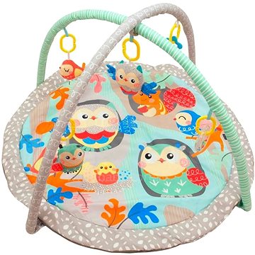 

BABY MIX Hrací deka s hrazdou - Sovičky
