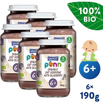 

SALVEST Ponn BIO Borůvky s ovesnými vločkami (6× 190 g)