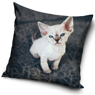 

CARBOTEX povlak na polštářek bílé siamské koťátko 40×40 cm