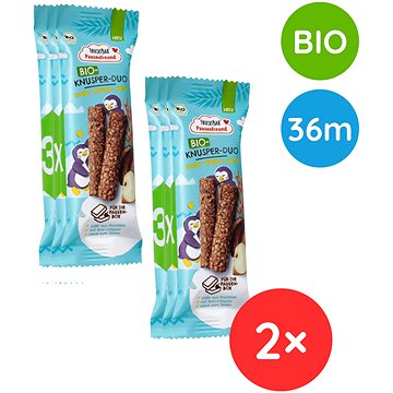 

FruchtBar BIO křupavé ovesné tyčinky s jablkem, kakaem a vanilkou 6× 23 g