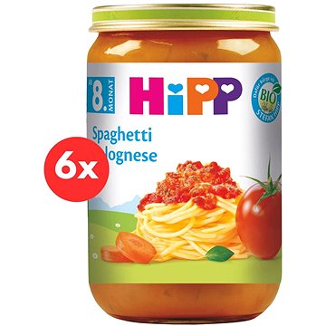 

HiPP BIO Boloňské špagety 6× 220 g