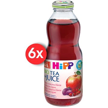 

HiPP BIO Nápoj s ovocnou šťávou a šípkovým čajem 6× 500 ml