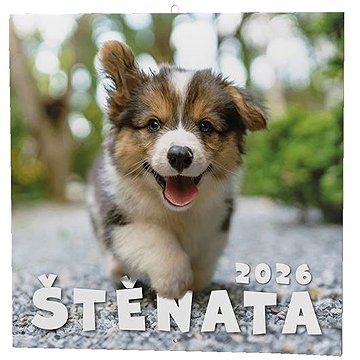 BALOUŠEK TISK 2026 měsíční, Štěňata