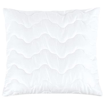 

Bellatex Výplňkový polštář s proševem - 50 × 50 cm 400g - bílá
