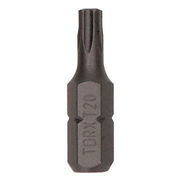 

BOSCH Sada ExH T20 25 mm, 25 ks 2.607.002.799